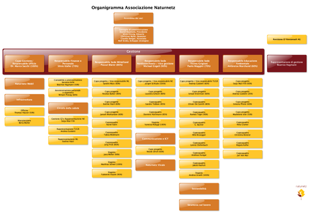 Organigramma
