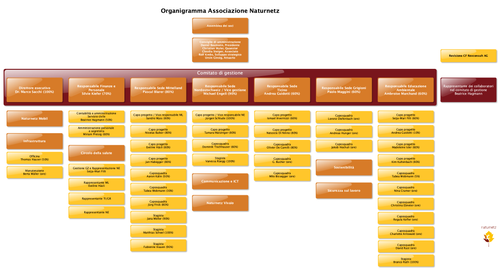 Organigramma