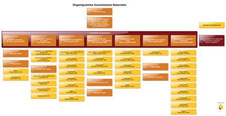 Organigramma